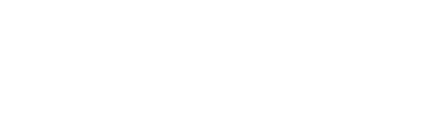 Davyzin - Logo